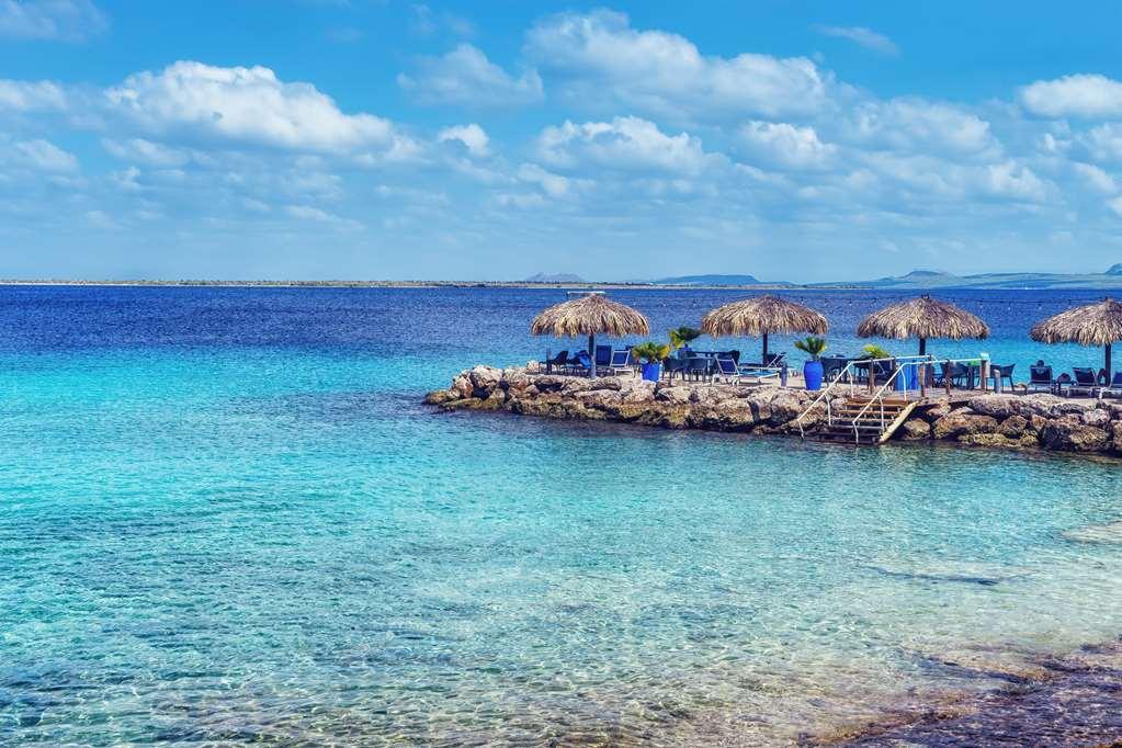Divi Flamingo Beach Resort Playa Restaurant bilde